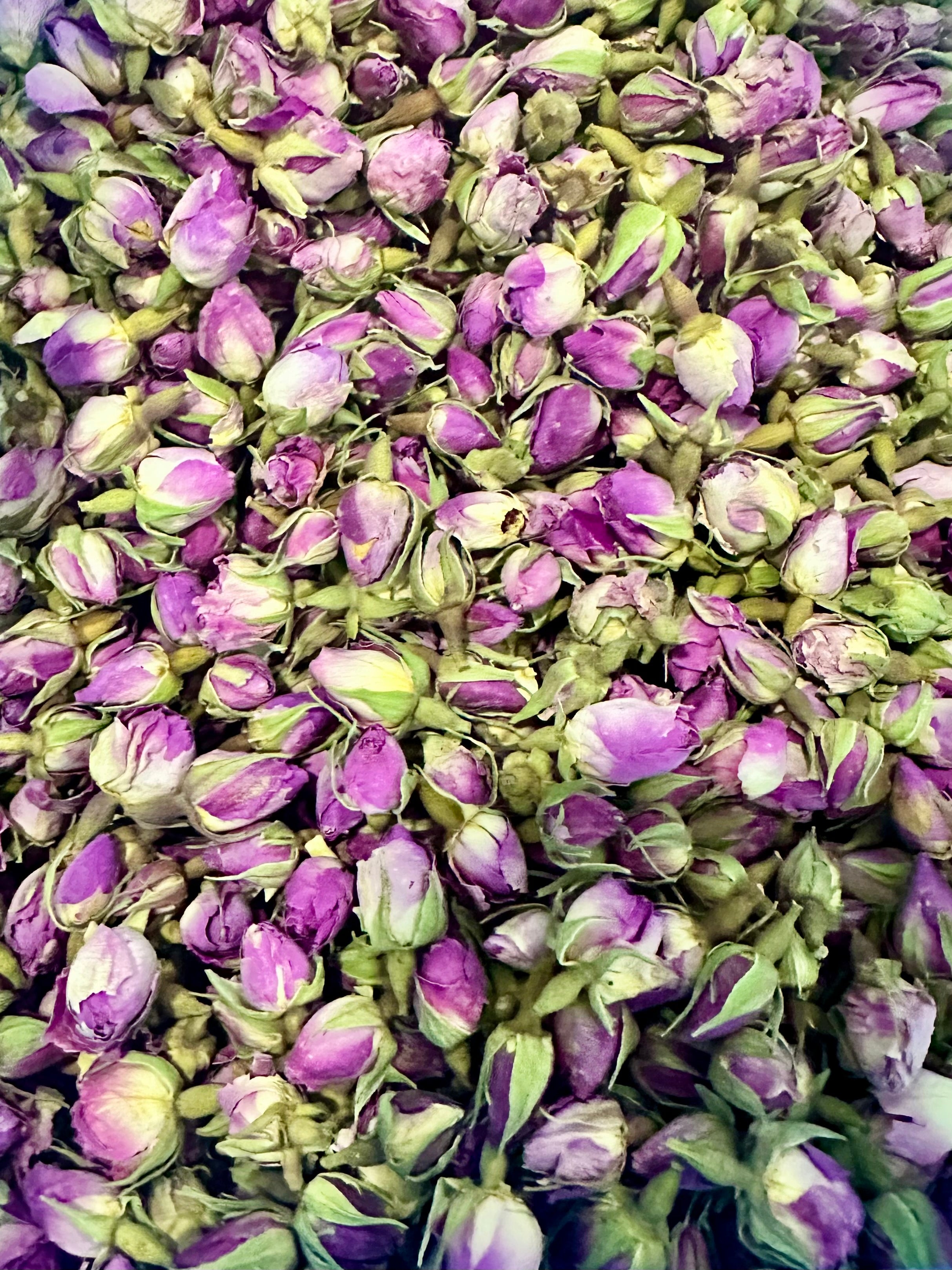 Damask Rose Bud Pink, Organic